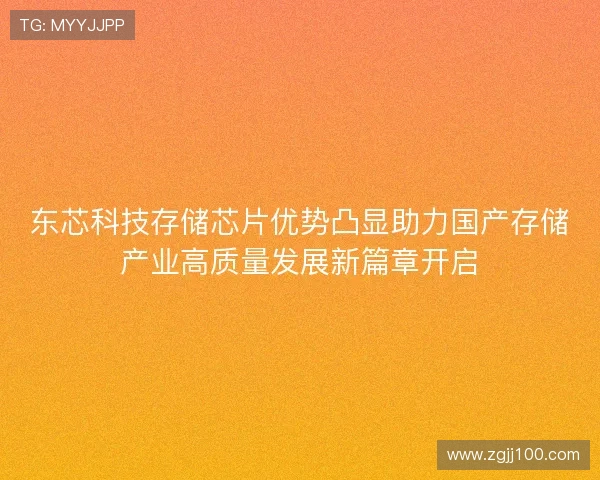 东芯科技存储芯片优势凸显助力国产存储产业高质量发展新篇章开启